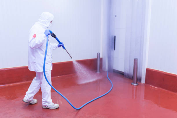  East Palatka, FL Pressure Washing Pros